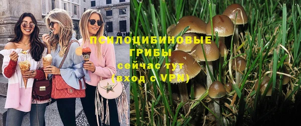 2c-b Алексеевка